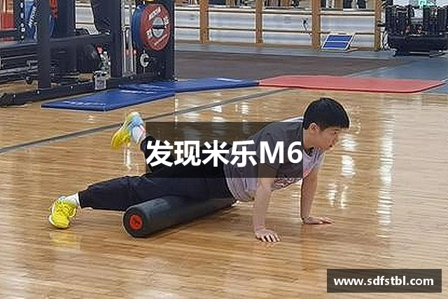 发现米乐M6